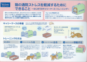 猫　ﾋﾞﾙﾊﾞｯｸ